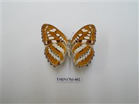 藏品(玄珠帶蛺蝶)的圖片